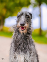 /album/undersharphill/img-2394-1-jpeg/